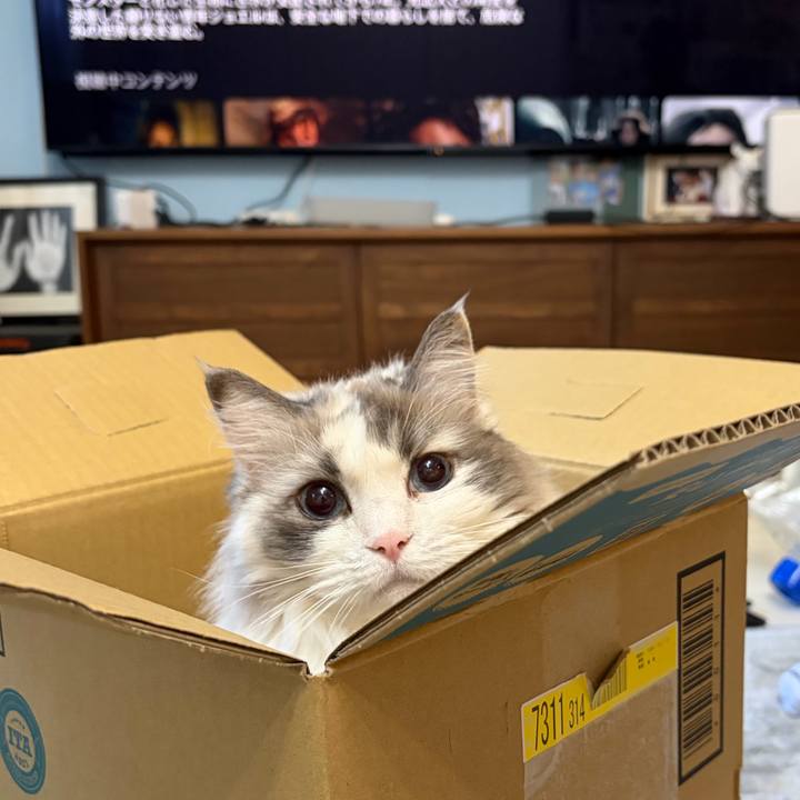 68e52b6b de81 4ebd 9b0a 4c90229c2969 1775261433285