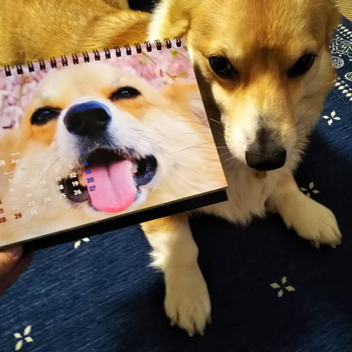 68e538e4 bfc4 4da0 a4e3 0ff932665e32 1554947497564