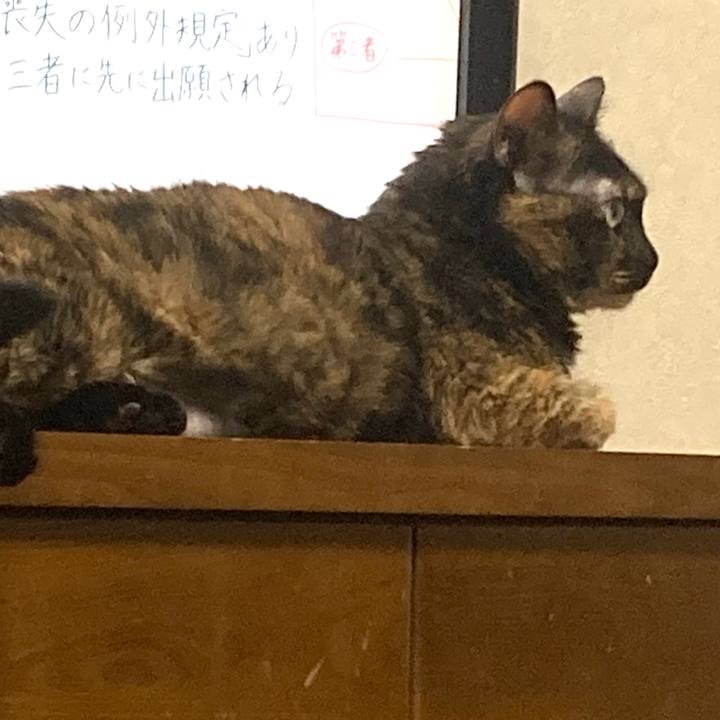 68e5646c abb3 4eac 8567 709145186dc9 1684411830222