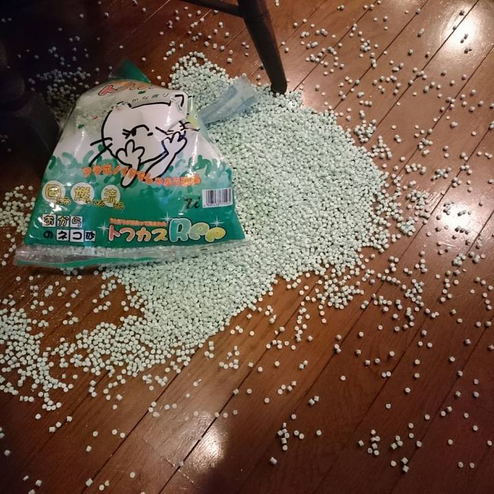 68e566f1 8b6b 473b a6de 4ddcb4eec7d4 1527763980646