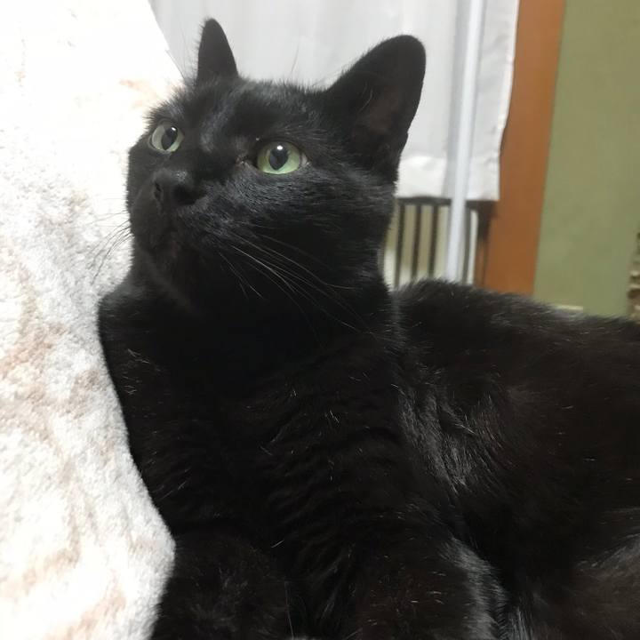 68e58660 92ff 4072 9f7a 66e8c81004f8 1521682868089