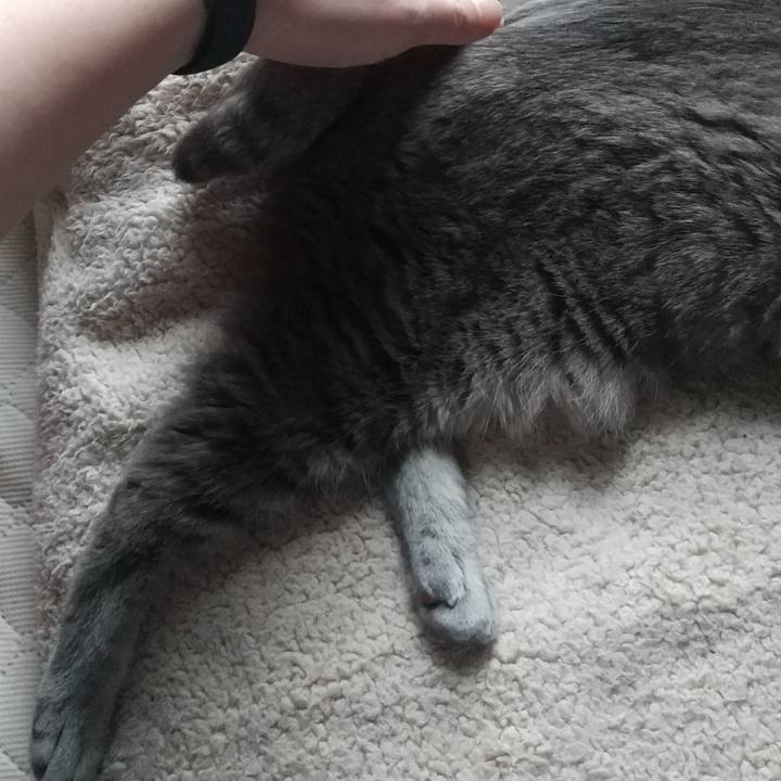 68e593af 7950 4cdb 90bb e72406c5e301 1684798588378