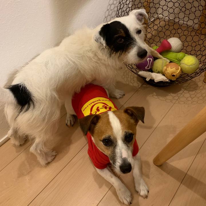 68e5eeac b76c 458a b697 dc3b97c3e39e 1561814298674