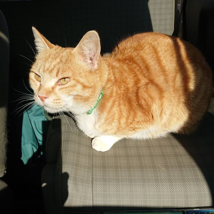 68e61aa8 293a 43d5 a7b0 808feb9297e5 1585465818423