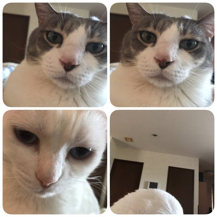 68e6447e b424 4734 9b09 7719e9f44530 1606018176276