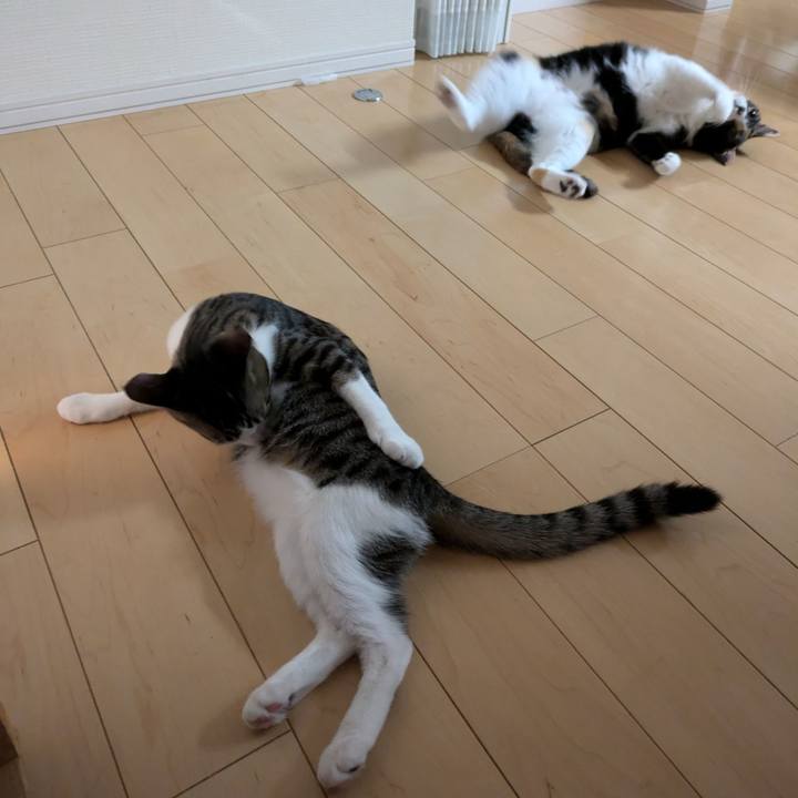 68e65a76 b736 4a76 90c4 cd1a3ef0dbce 1726814343200