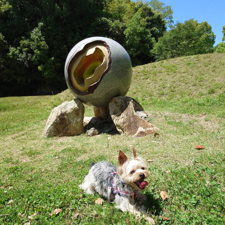 68e67d48 1688 4982 ba1f dcb42e3cabd0 1780090379709