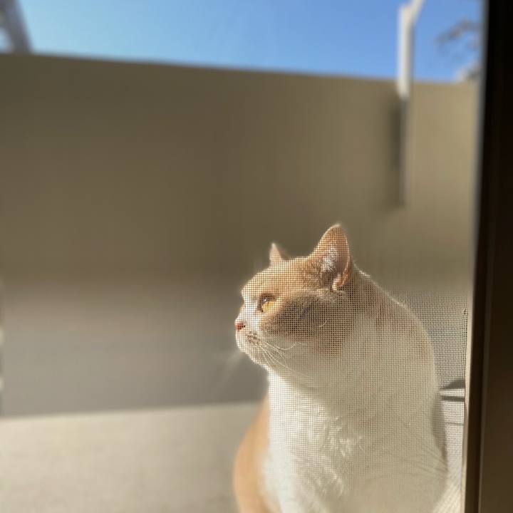 68e6988a aa9e 49dc 9783 db0f0a4b6165 1604895020468