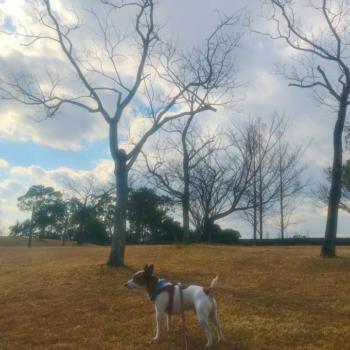 68e6ac81 e913 4e28 aa9e 1429683799e4 1514206509593