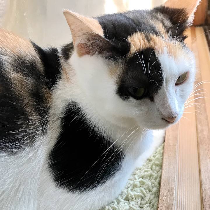 68e6d3ae 4d52 4f08 a03c 5b7537f1709e 1507944368964