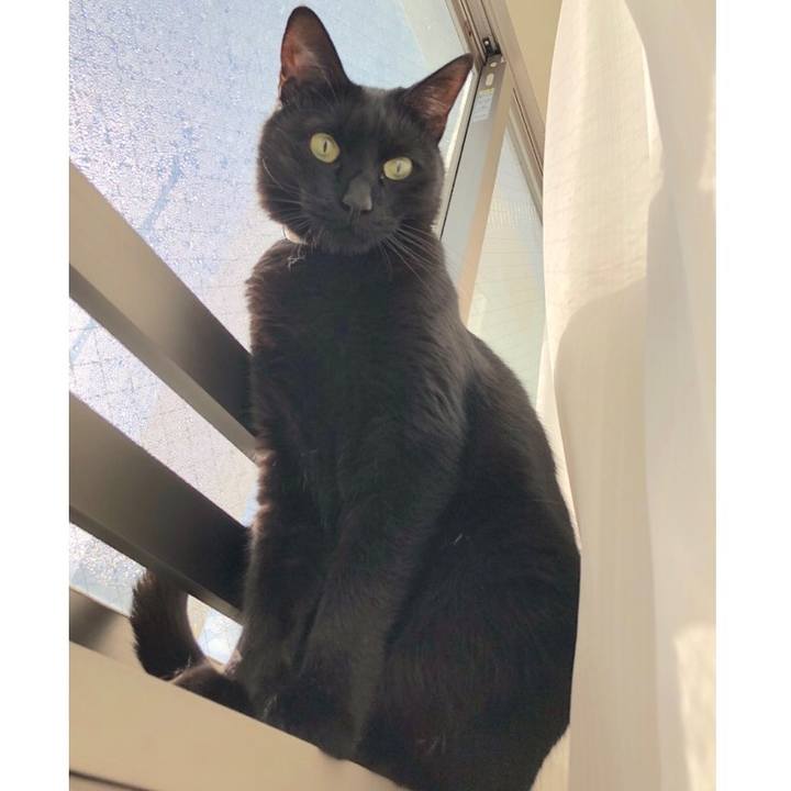 68e754d6 3ea5 4707 a67f 1cea810da718 1514512887465