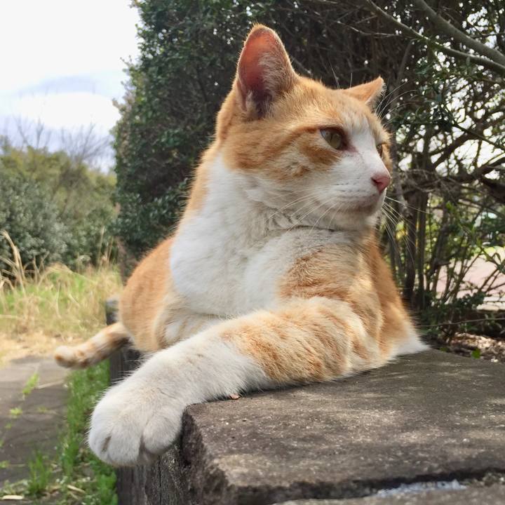 68e7571a c3c6 40ec 8758 7bc1a09af413 1586245287253