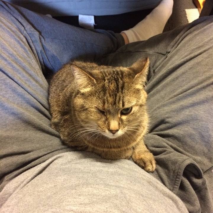 68e77fc6 0454 4bfe 9d02 4626fafcf9bf 1585127193875