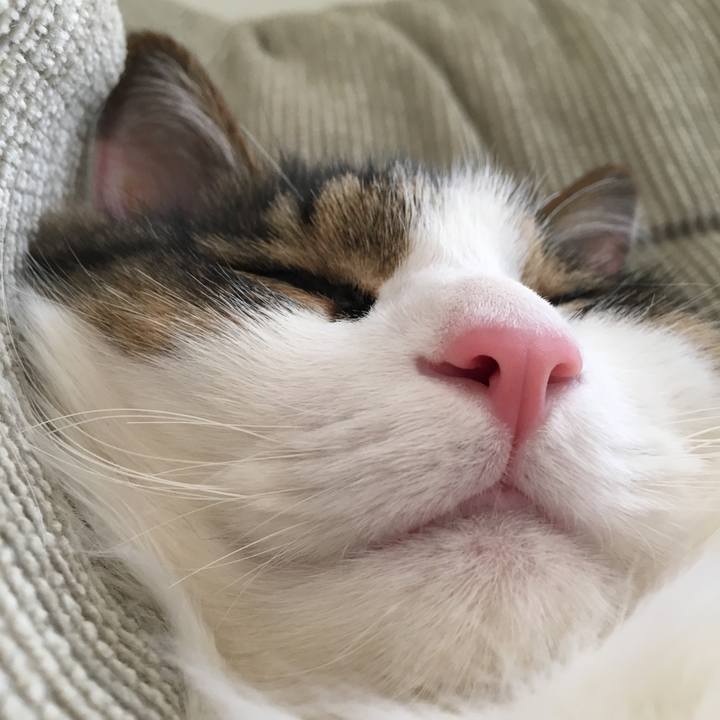 68e7828d ddcd 440f 957e e84d8f6091c8 1556970173052