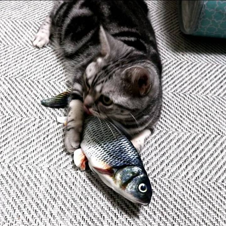 68e7a754 0262 4006 9649 0b110915d6da 1595924208969