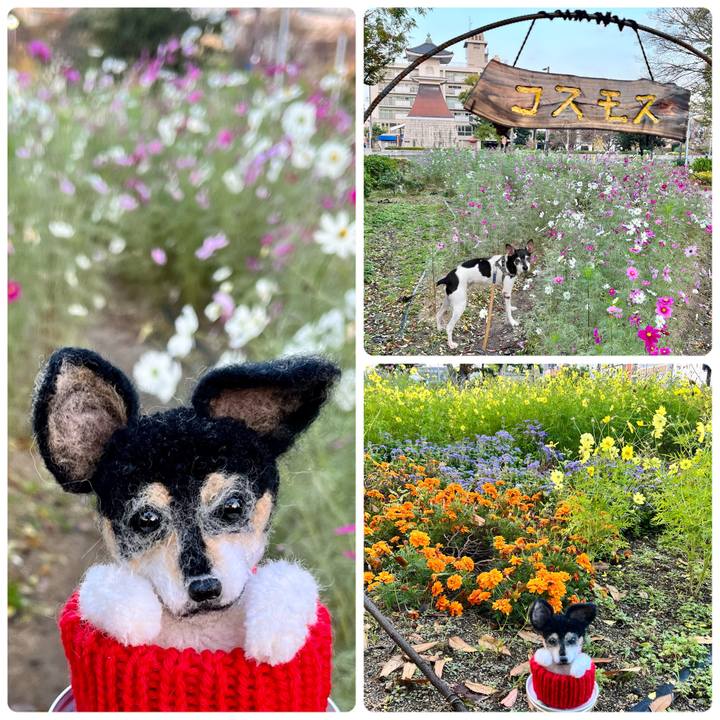 68e7adeb 3724 4939 a832 7e28c401f91b 1668817323503