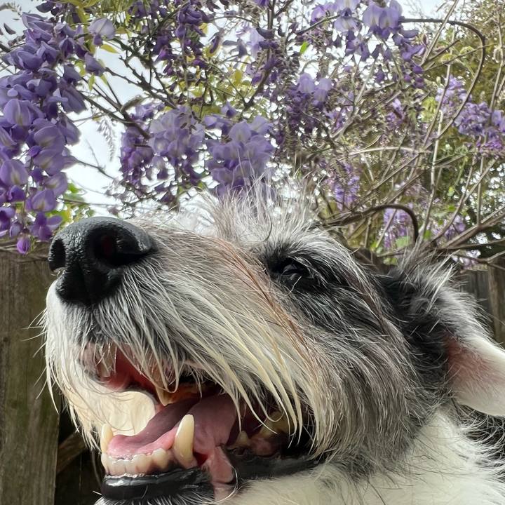 68e7f83a 7610 46ec b388 d1605ab390a7 1710367106952