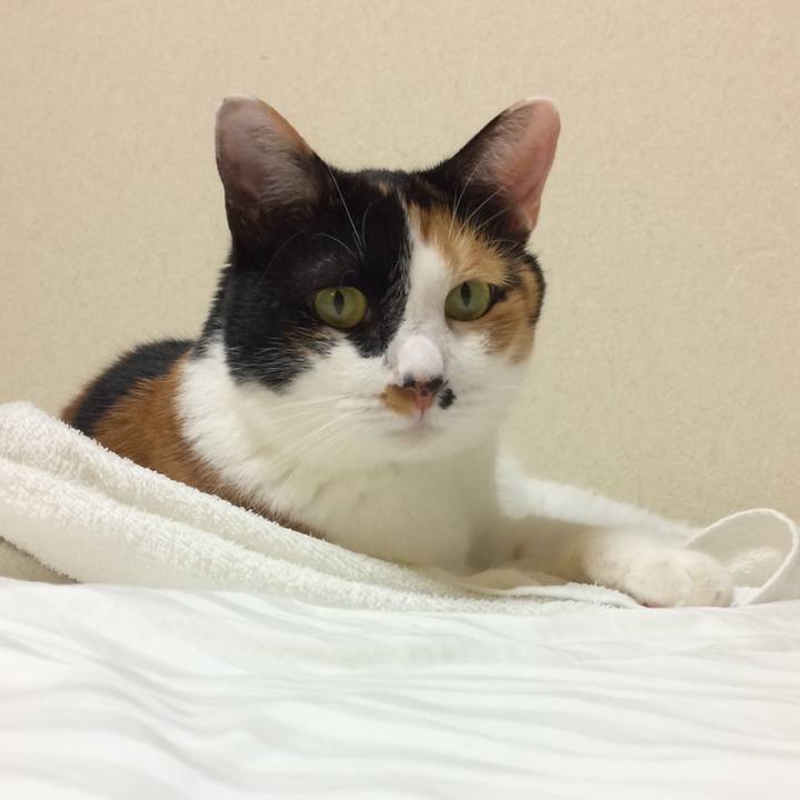 68e8a489 d16d 48c3 968d 642f7d100b83 1596889875398