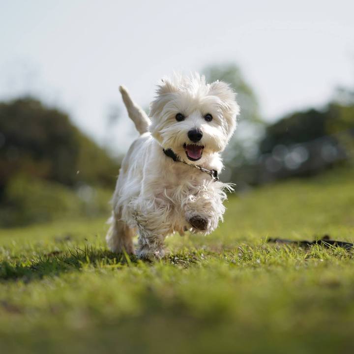 68e8c68c 03b5 463b ba84 0765237fba8b 1523673917401