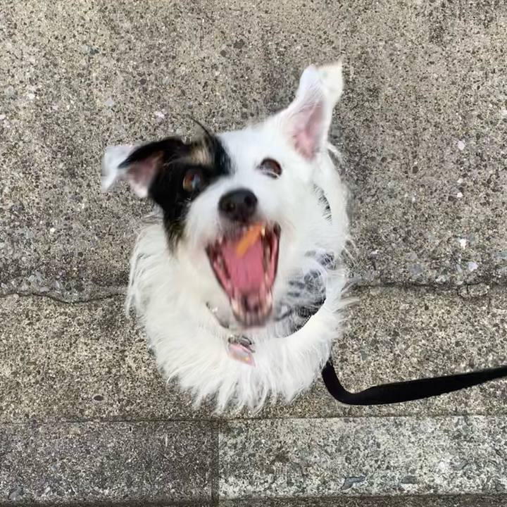 68e8db77 512a 4a1a 8098 9286577a674d 1663320454410