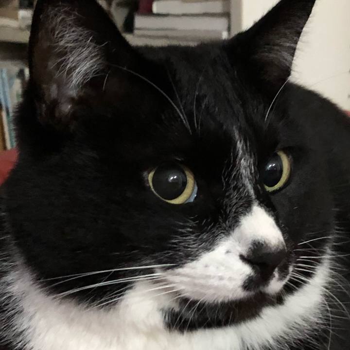 68e8e496 d098 4dcf 9502 7784289f4ad0 1651906244493