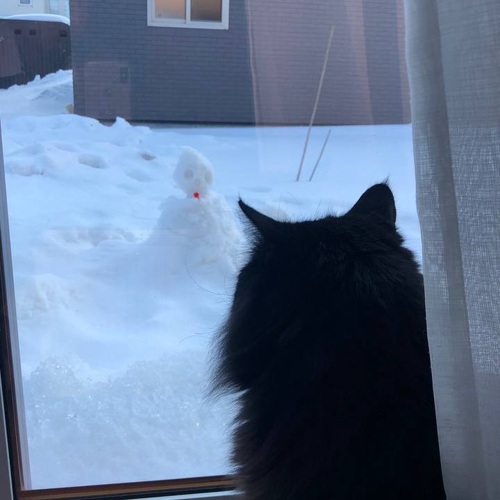 68e8fc2f e041 4ab6 a155 c69b8362c281 1548846410386