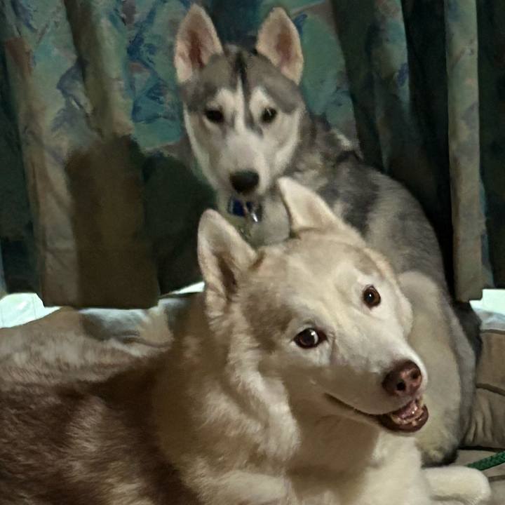 68e93281 41b1 4695 a913 695d165b6968 1757224917973