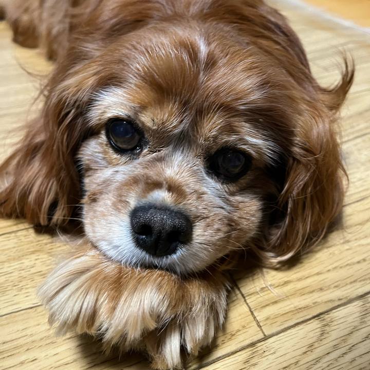 68e93fe3 ef7e 45e8 b3ae fc9458978c96 1767523234480