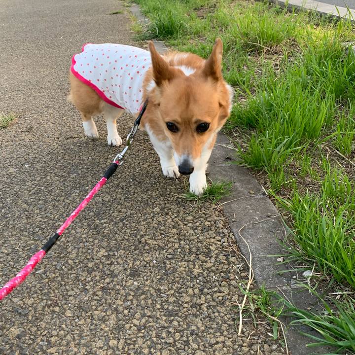 68e948f7 36bd 4770 9c09 69812c83e506 1588414735890