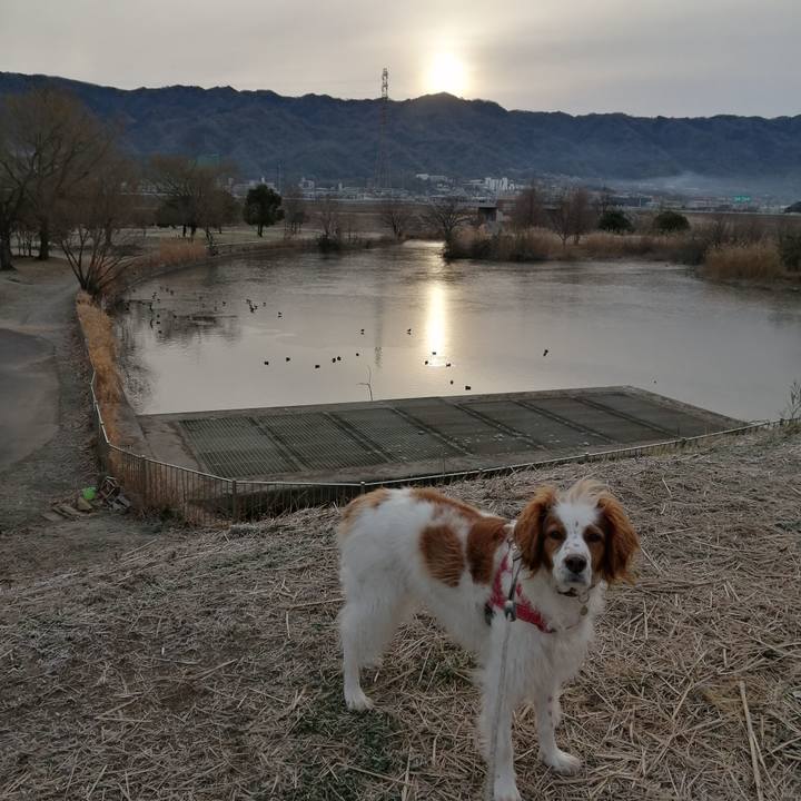 68e96be9 417e 48aa 8bce 50ec60c4050b 1581045198583