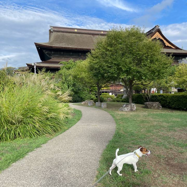 68e98cbf f443 4d8c bef3 fcb1b47fa51c 1693099422156