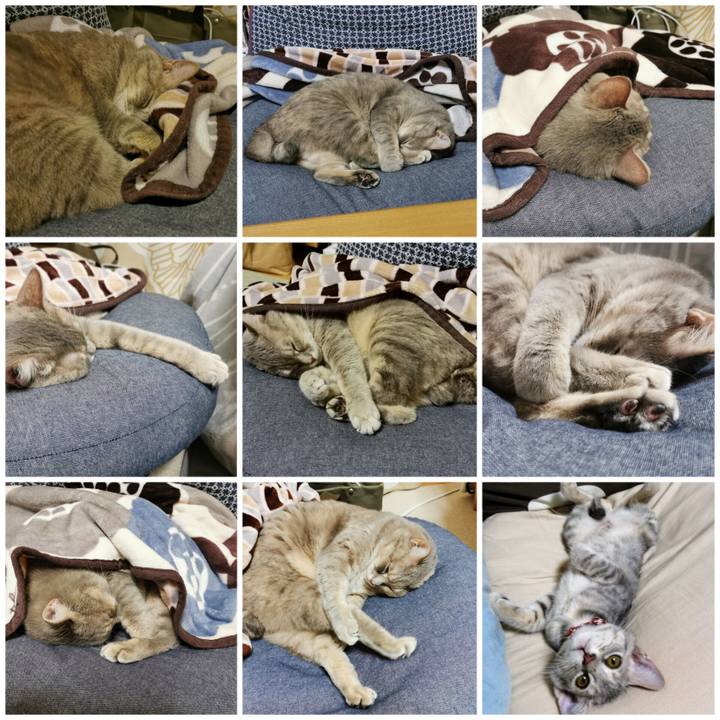 68e9a654 667a 40b1 91e3 181dcce9dc6b 1670163109663