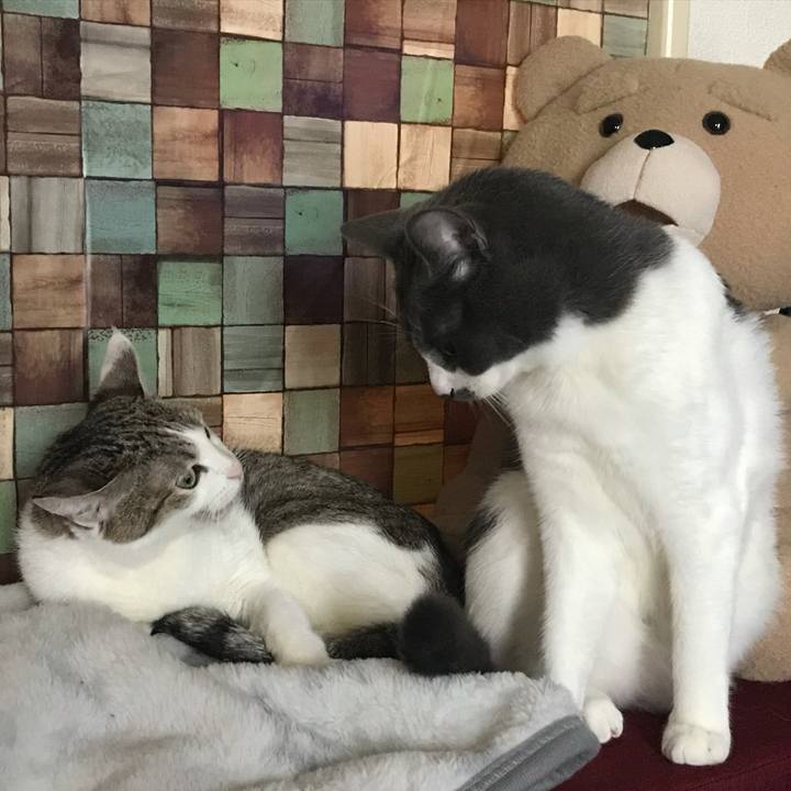 68e9bf9b ea20 48b8 89ee 66a3ee2edaf3 1623836906371