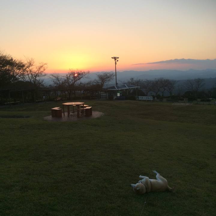 68e9f7da c537 40d0 86ee 82d34bd60fde 1546215155643