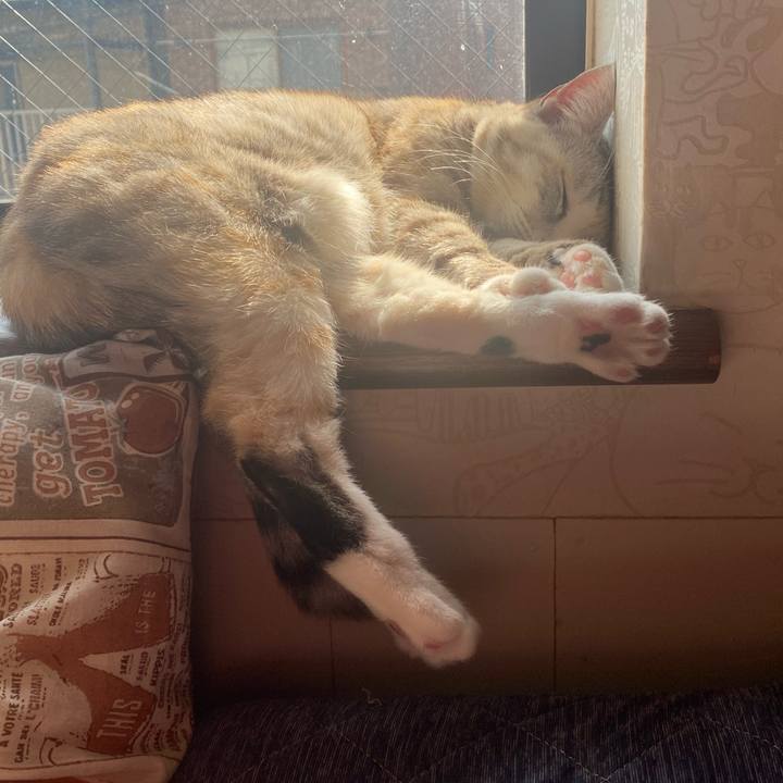 68ea02de d046 40a2 aa76 4f3d30d94926 1638157482870