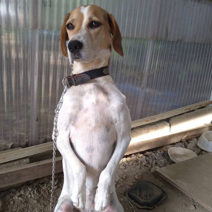 68ea3b73 b551 48e8 bfc3 aee8d2647d37 1660458406764