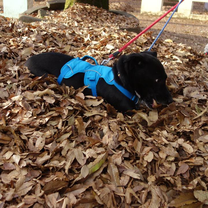 68ea4e93 02bf 4ecd 9413 7f72cfe66cf9 1607040084158