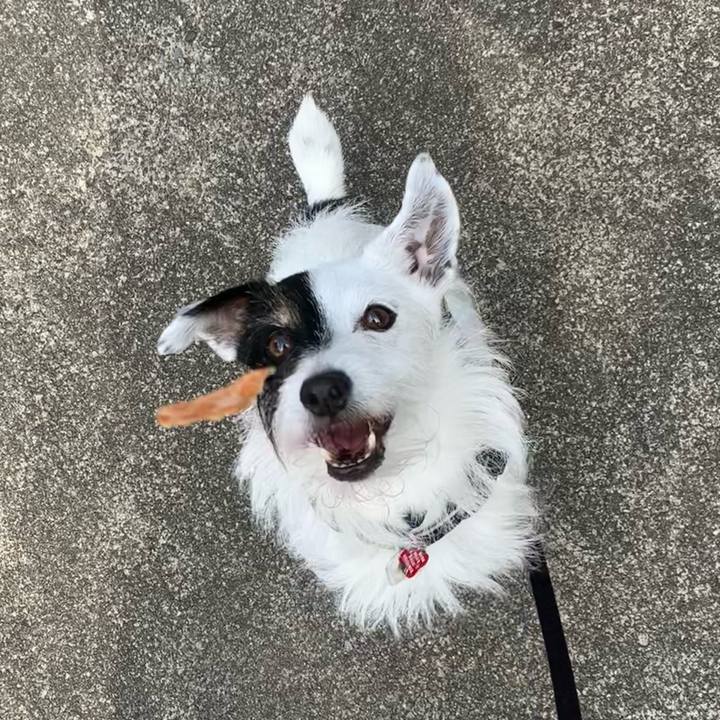 68ea54c5 c6de 4780 8668 e3a7272fb6f0 1687565841771