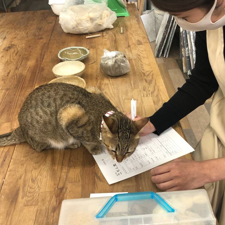 68ea74d8 bee2 4d84 8556 15bb748efcb9 1621661956618