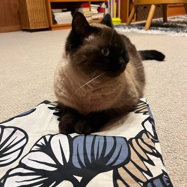 68ea760c a7f4 48e2 bf7b 17367dec2385 1740049351051