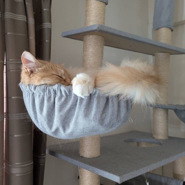 68eab135 3079 4cf7 992e ad3835268a79 1747796415744