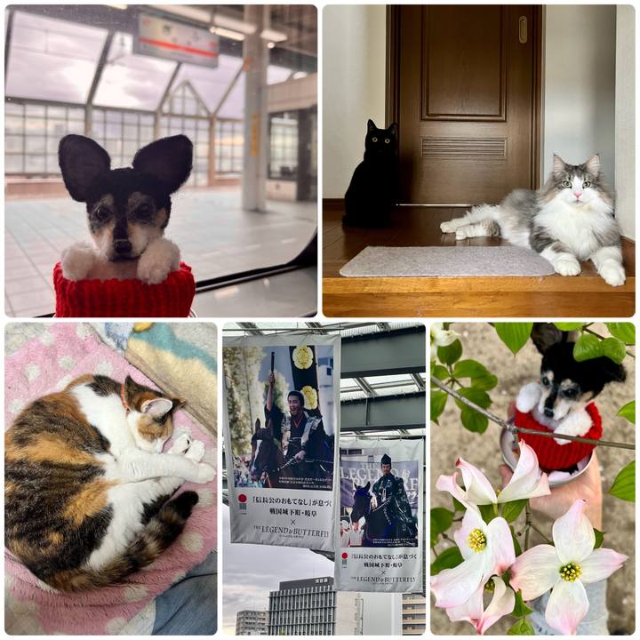 68eab277 6042 4ac3 93c7 148a04c318e8 1681302496002