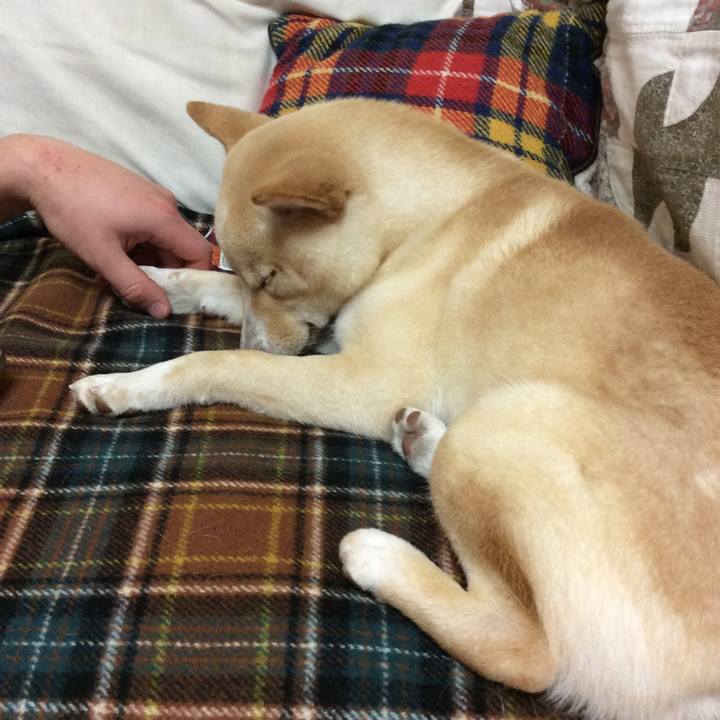 68eacae4 1fd2 4903 a61b de1146f56dc1 1512823667411