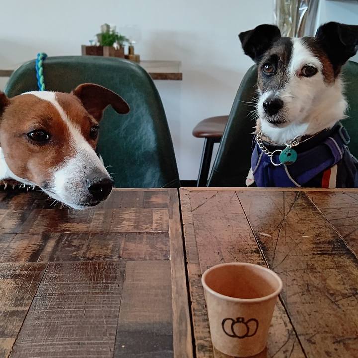 68ead942 9158 446c a24b 432dad2908c6 1645865041449