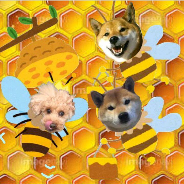 68eb01a9 cfc1 4c09 adac a58eb039c2f0 1519957183222