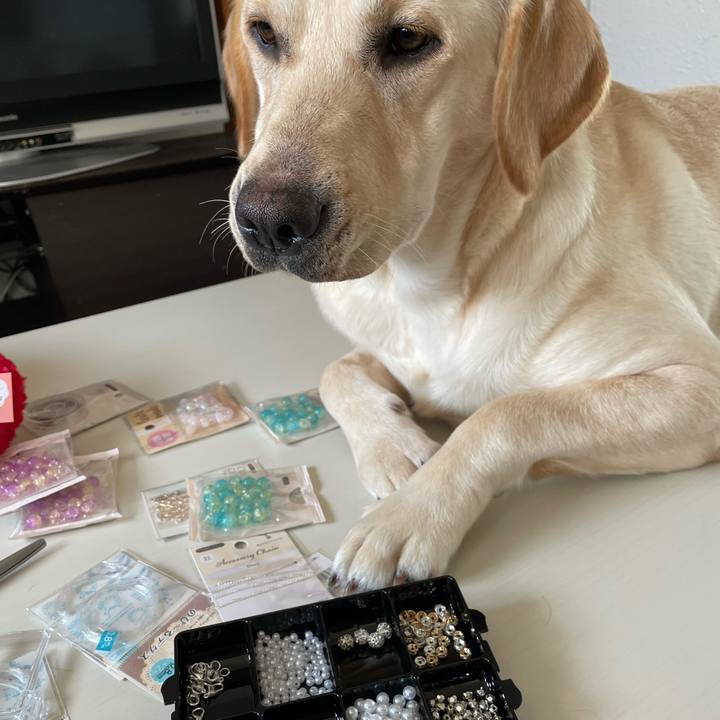 68eb0d38 dbd9 477a 91ed 3fc290119692 1642486513337