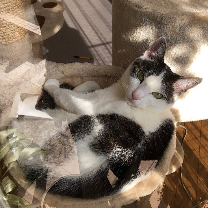 68eb2c4f 1168 4890 8260 f5864c3ccb7a 1641718292374