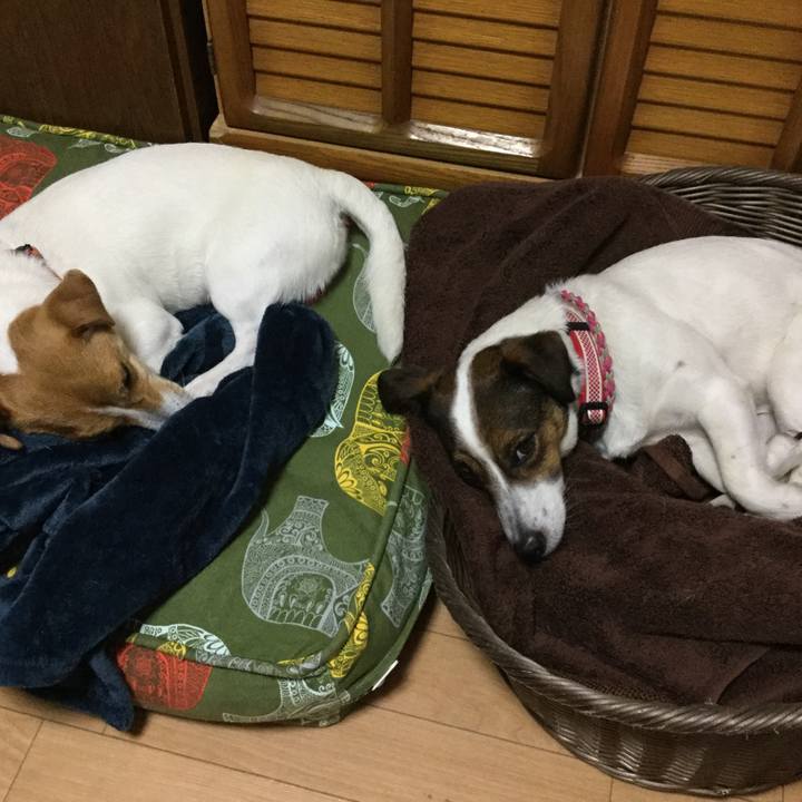 68eb87df 04d9 4c77 98f7 c74959d329ea 1524994109570