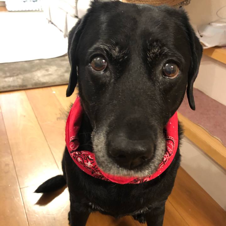 68ebc02b f55a 4ecf bf55 aab50111ed6a 1565914652516