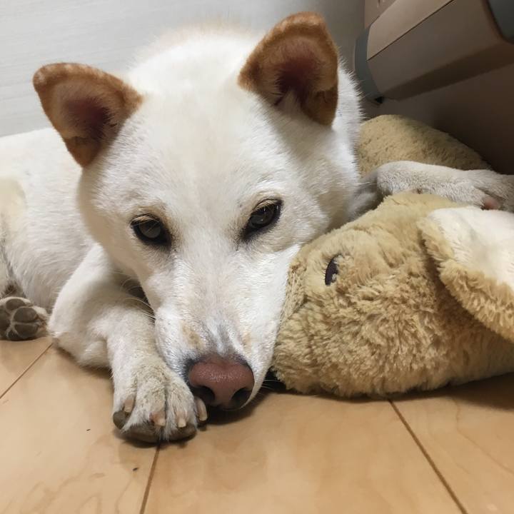 68ebd117 0c9e 455f a8e5 2b55797aadb6 1535632447952